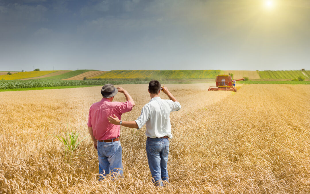 The Growing Challenge of Insuring Agribusiness Risks