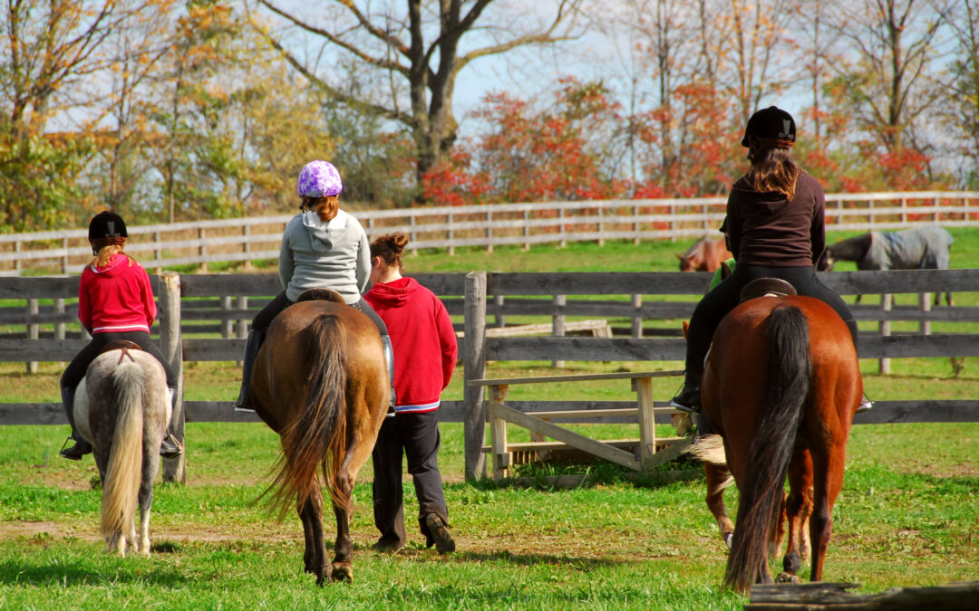 Understanding Equine Liability Coverage: Protecting Horse-Related Operations